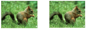Mage Sharpness Adjustment